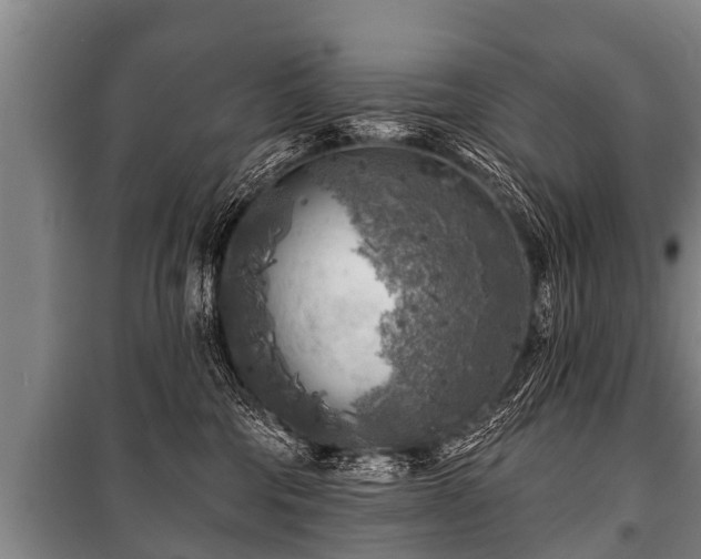 X0000100840330200806271118