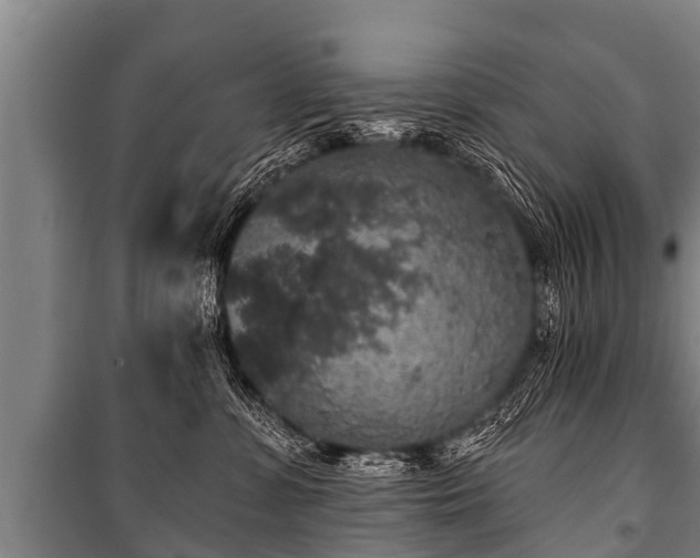 X0000100840331200806271118