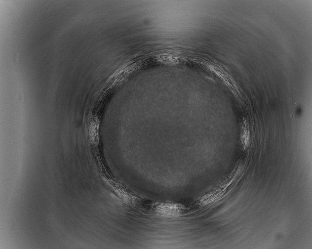 X0000100840332200806271118