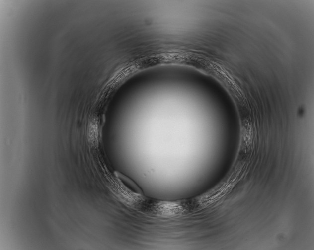 X0000100840333200806271118