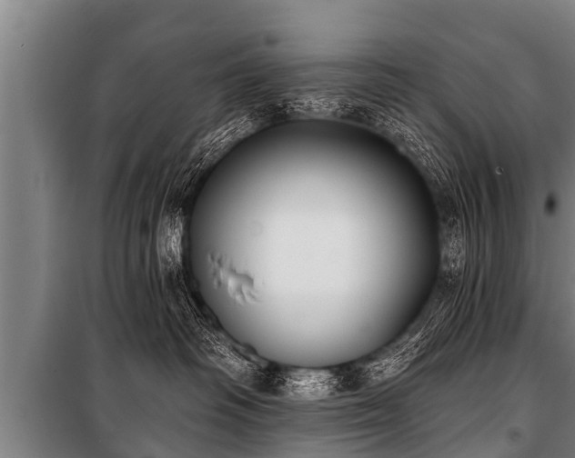 X0000100840334200806271118