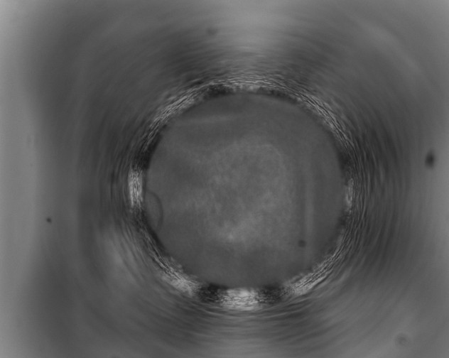 X0000100840335200806271118