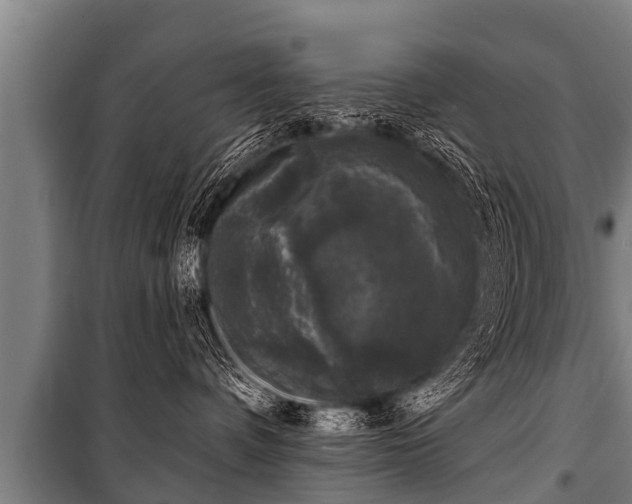 X0000100840336200806271118