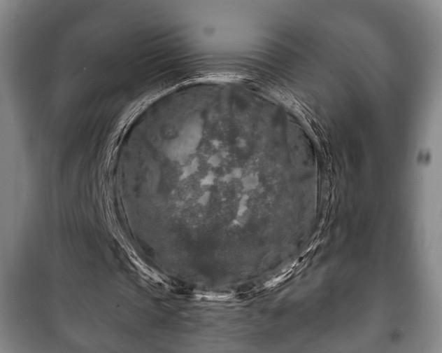 X0000100840337200806271118