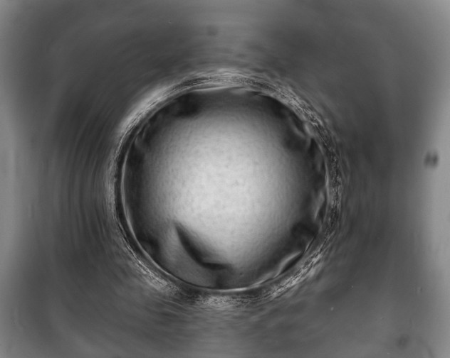 X0000100840341200806271118