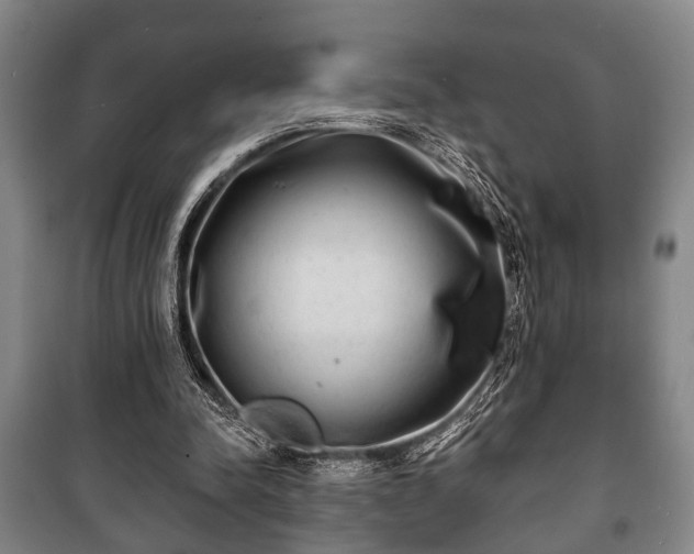 X0000100840342200806271118