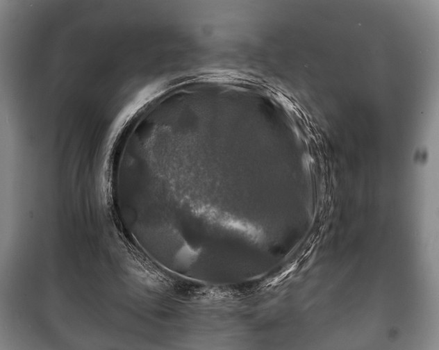 X0000100840343200806271118