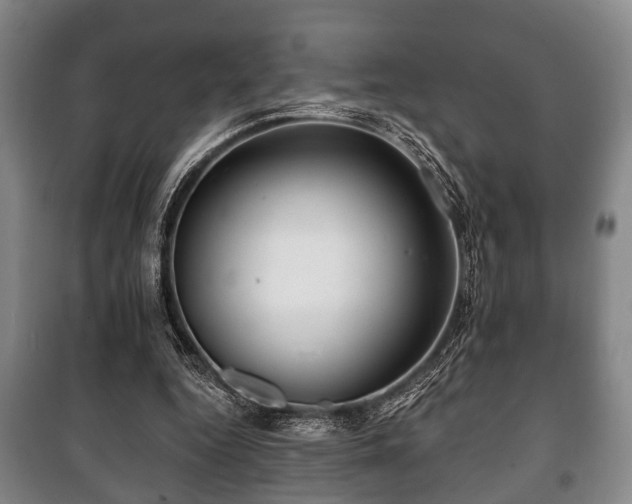 X0000100840344200806271118