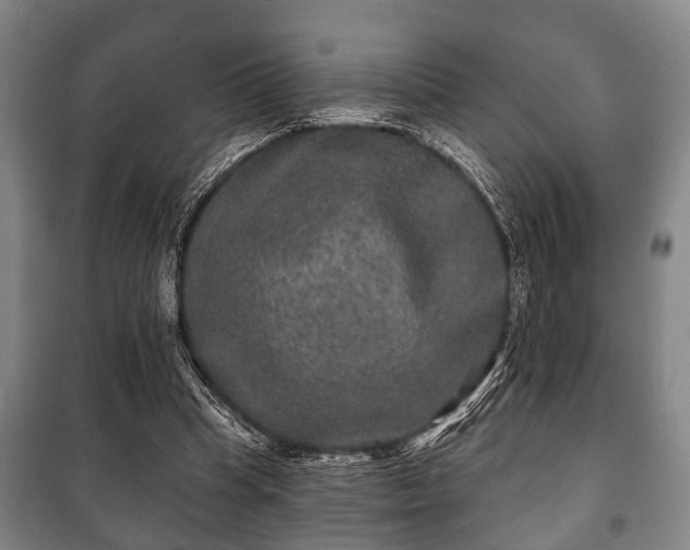 X0000100840345200806271118