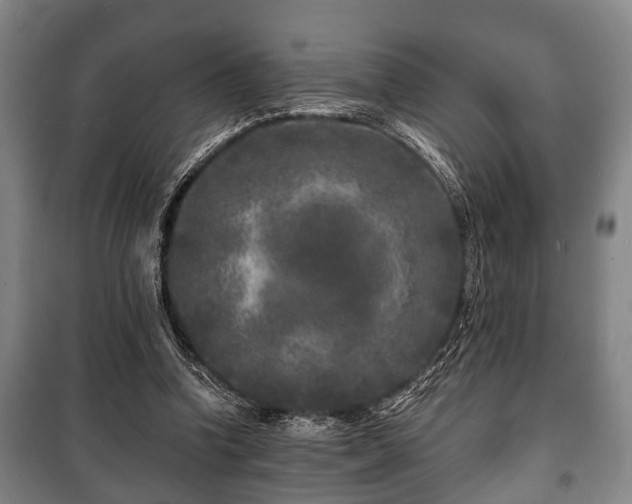 X0000100840346200806271118