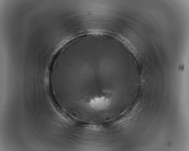 X0000100840347200806271118