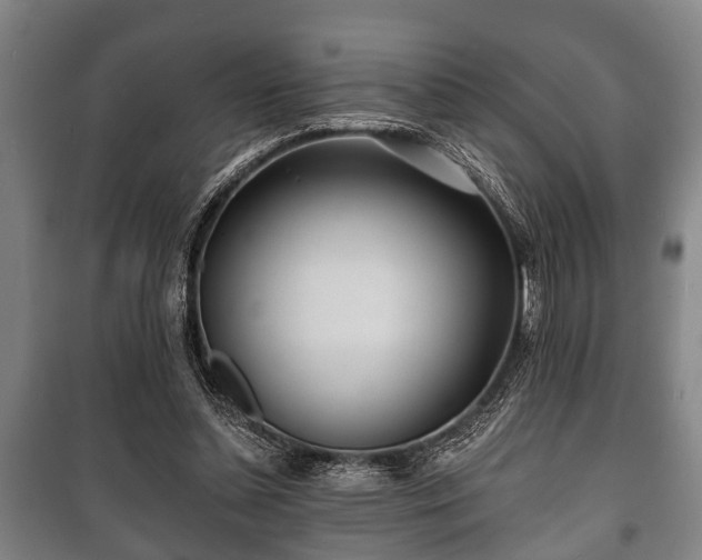 X0000100840348200806271118