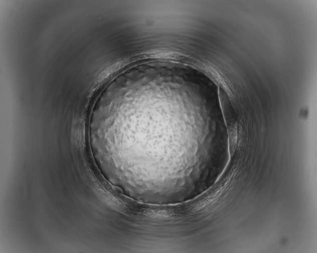 X0000100840349200806271118