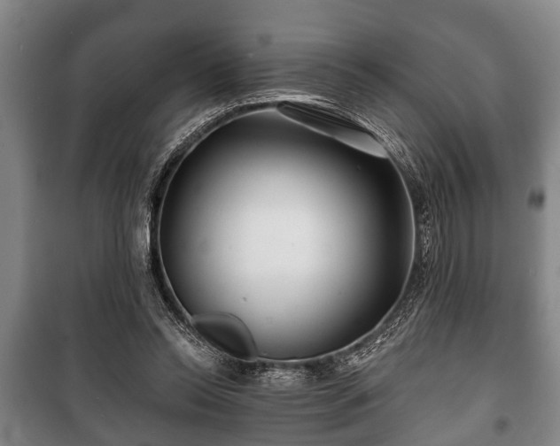 X0000100840350200806271118