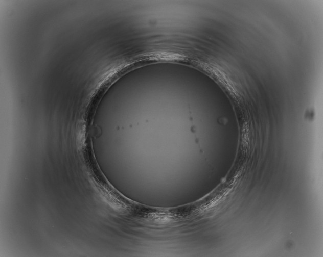 X0000100840351200806271118