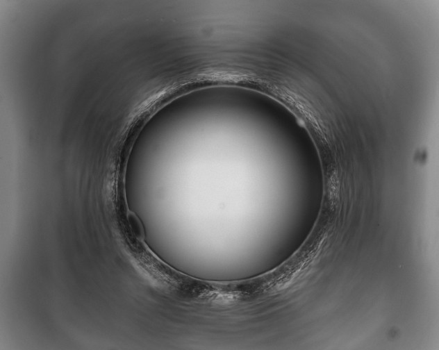 X0000100840352200806271118