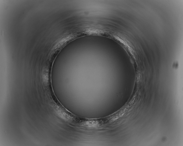 X0000100840353200806271118