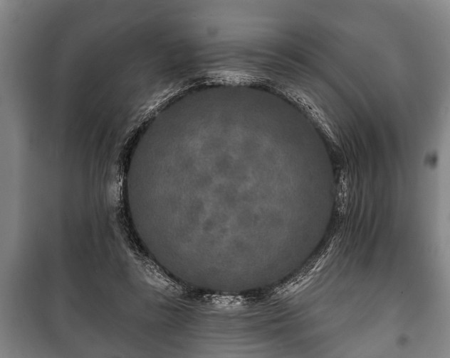 X0000100840355200806271118