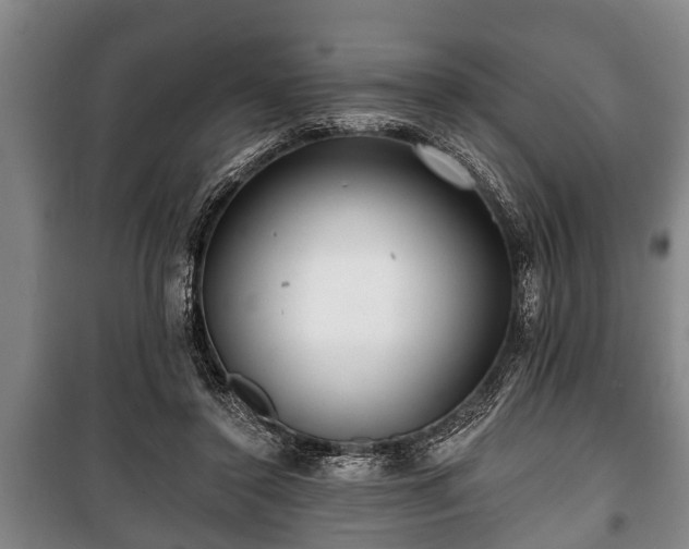 X0000100840356200806271118