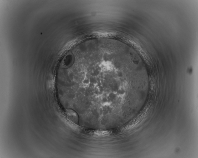 X0000100840357200806271118