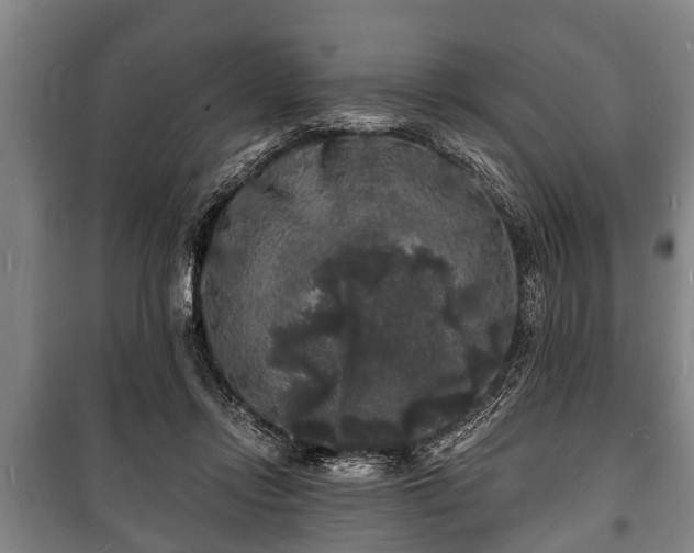 X0000100840358200806271118