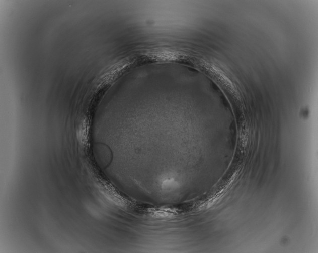 X0000100840359200806271118