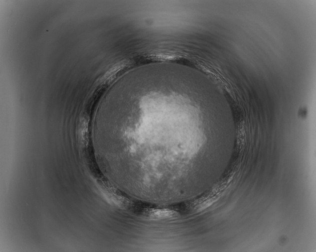 X0000100840360200806271118