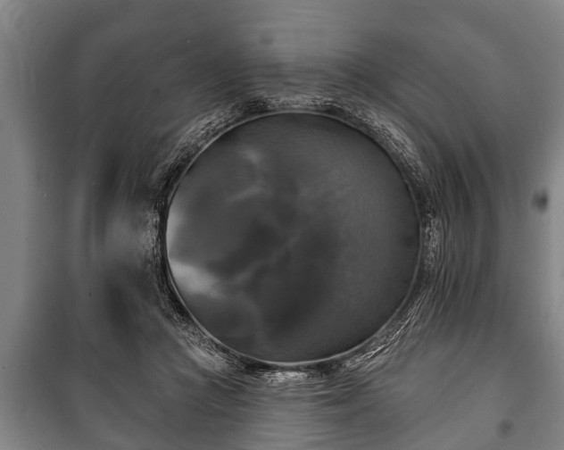 X0000100840361200806271118