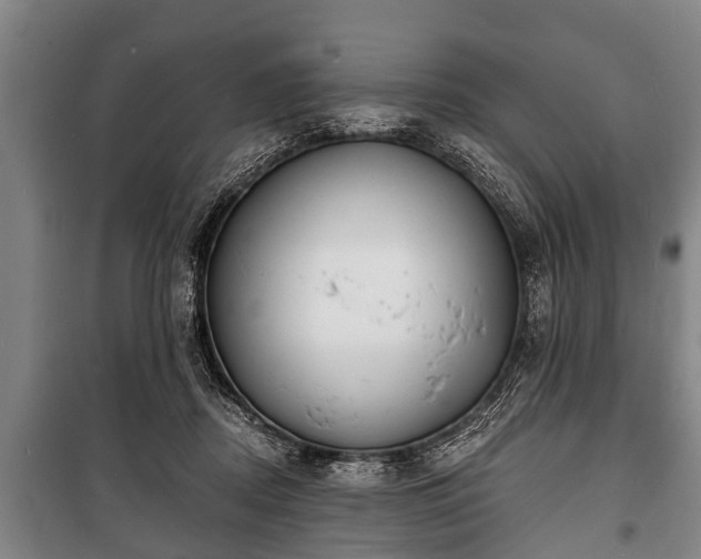 X0000100840362200806271118