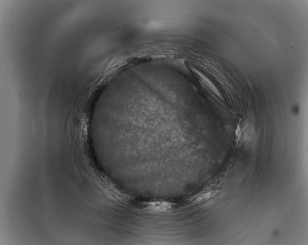 X0000100840363200806271118