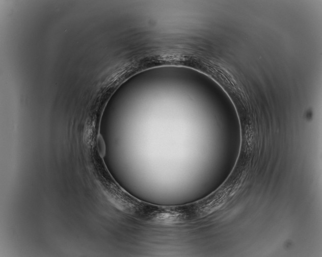 X0000100840364200806271118