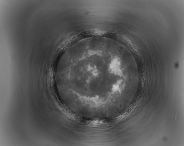 X0000100840366200806271118