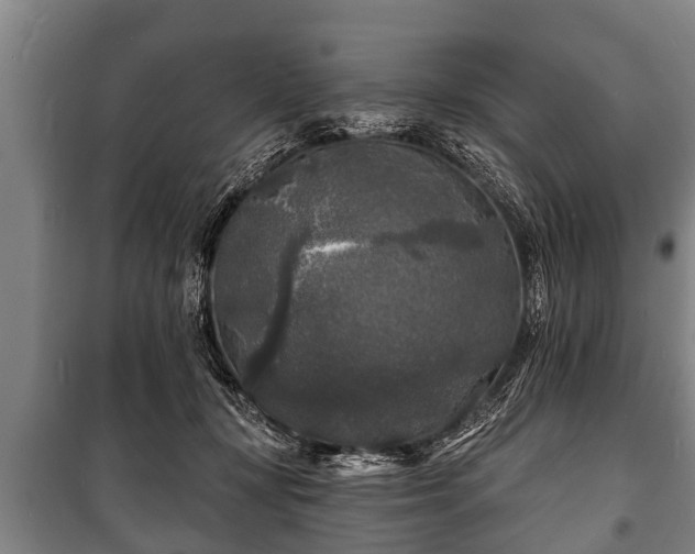 X0000100840367200806271118