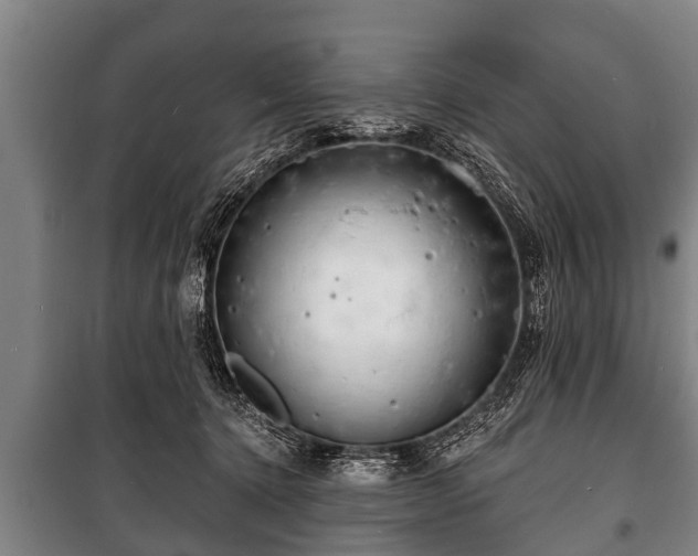 X0000100840368200806271118