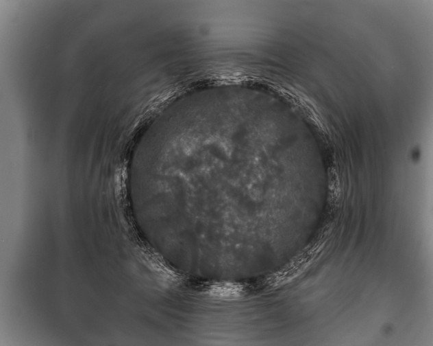 X0000100840369200806271118