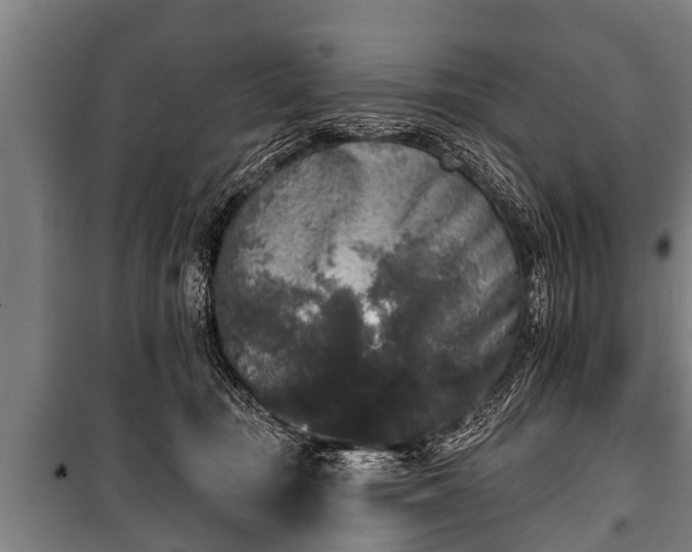 X0000100840371200806271118