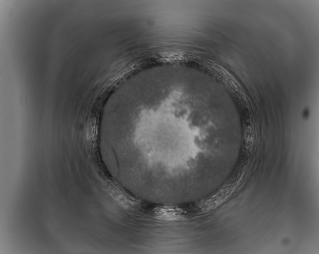 X0000100840372200806271118