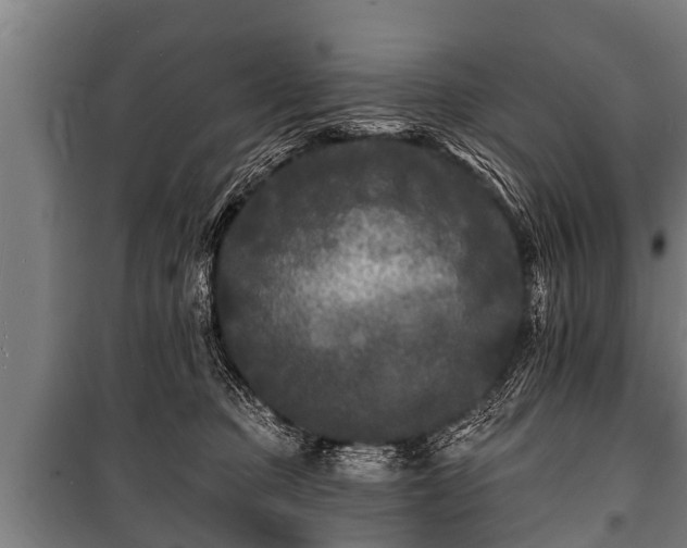 X0000100840373200806271118