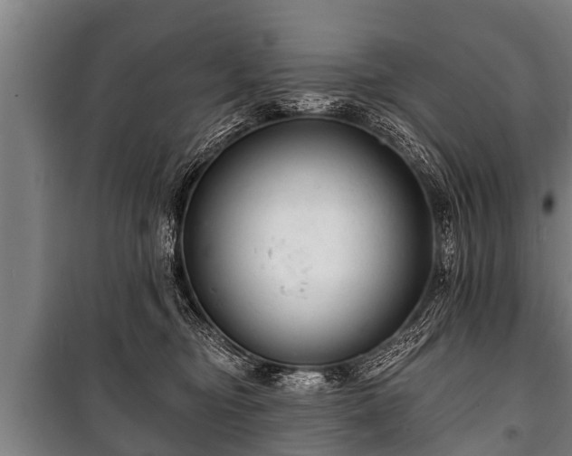 X0000100840374200806271118