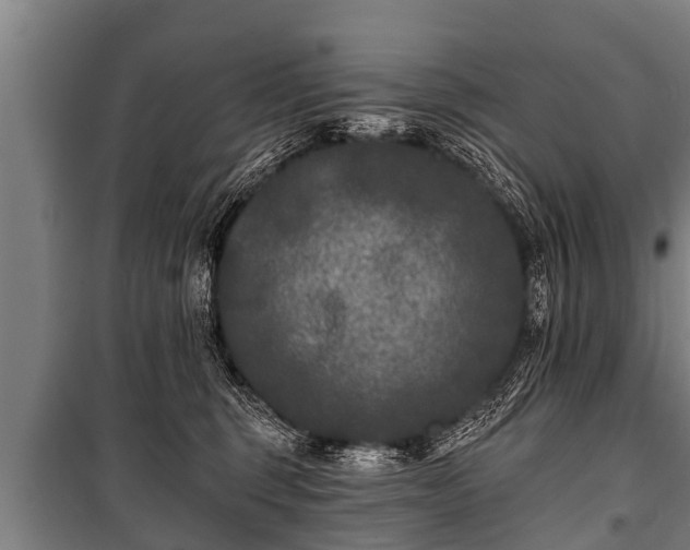 X0000100840375200806271118