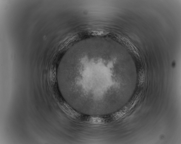 X0000100840376200806271118