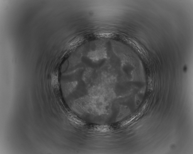 X0000100840377200806271118