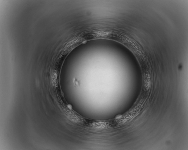 X0000100840378200806271118