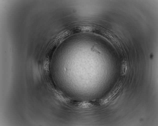 X0000100840379200806271118