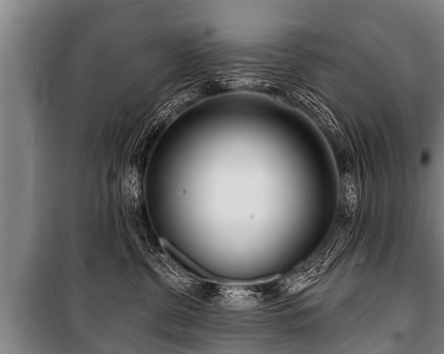 X0000100840380200806271118