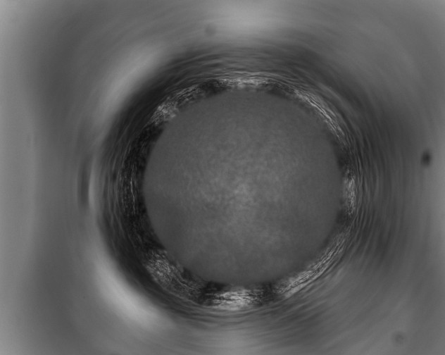 X0000100840381200806271118