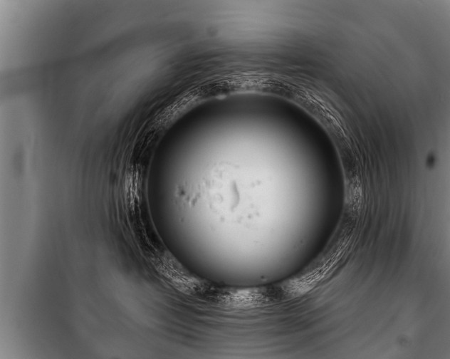 X0000100840382200806271118