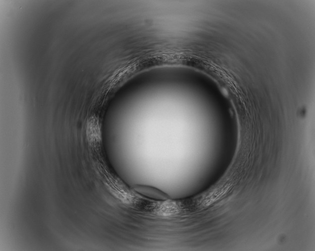 X0000100840384200806271118