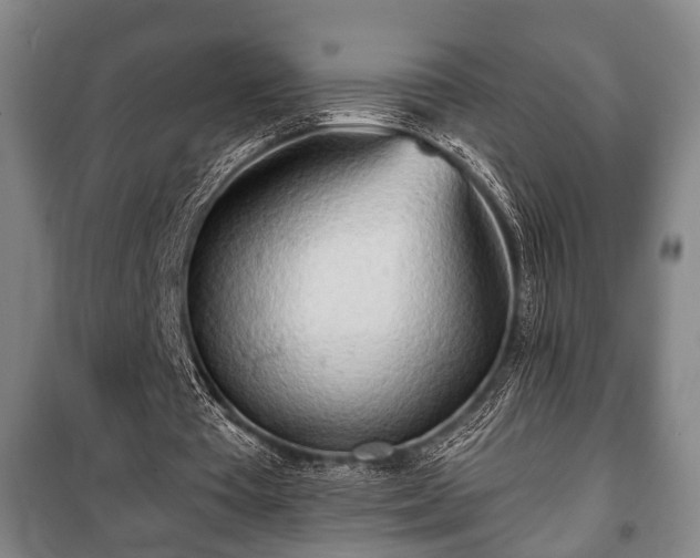 X0000100840385200806271118