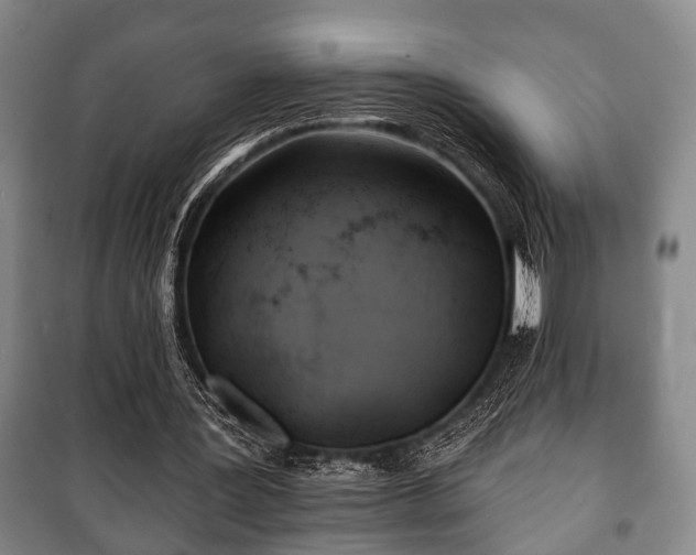 X0000100840387200806271118